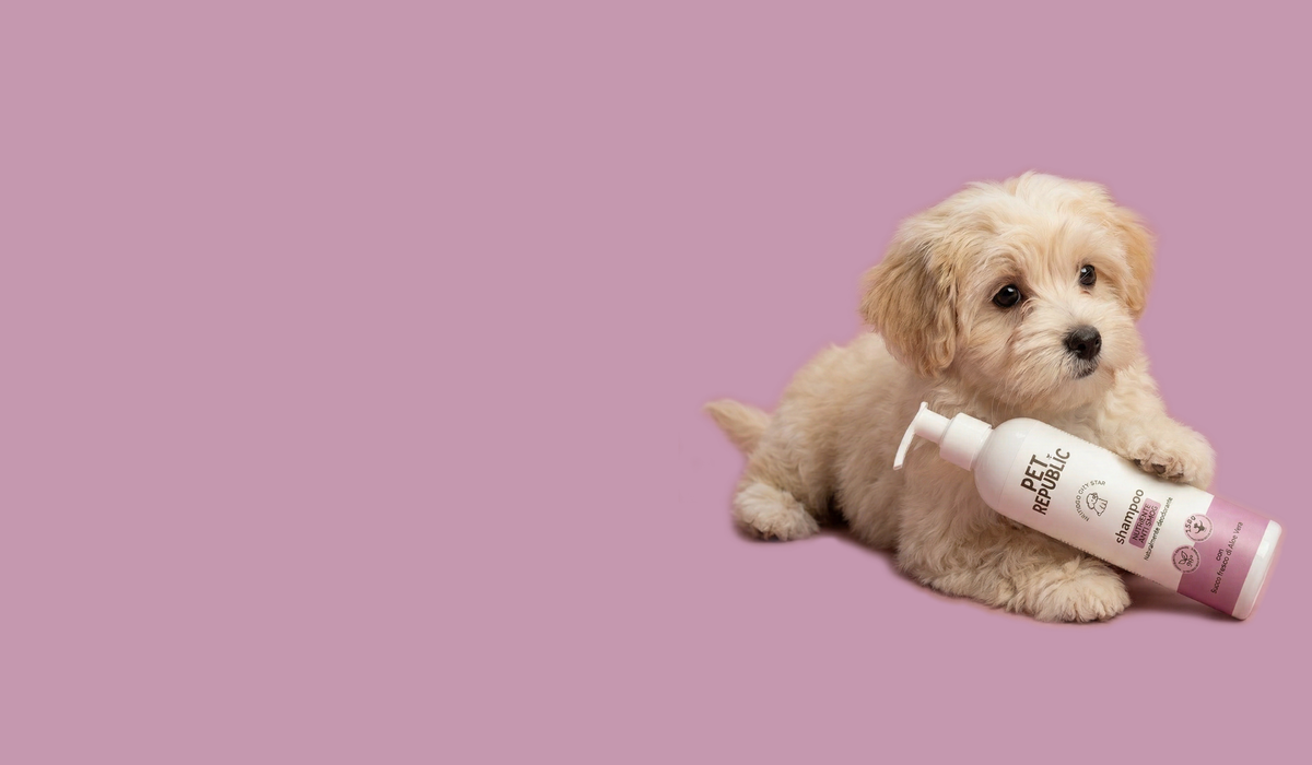 Pet Republic