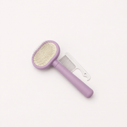 Cardatore piccolo professionale viola per le zone delicate di Barboncino e Maltipoo