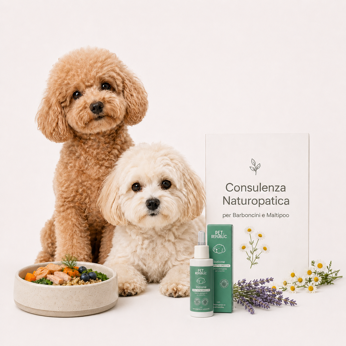 Consulenza naturopatica per cani Metodo Inside Out di Pet Republic