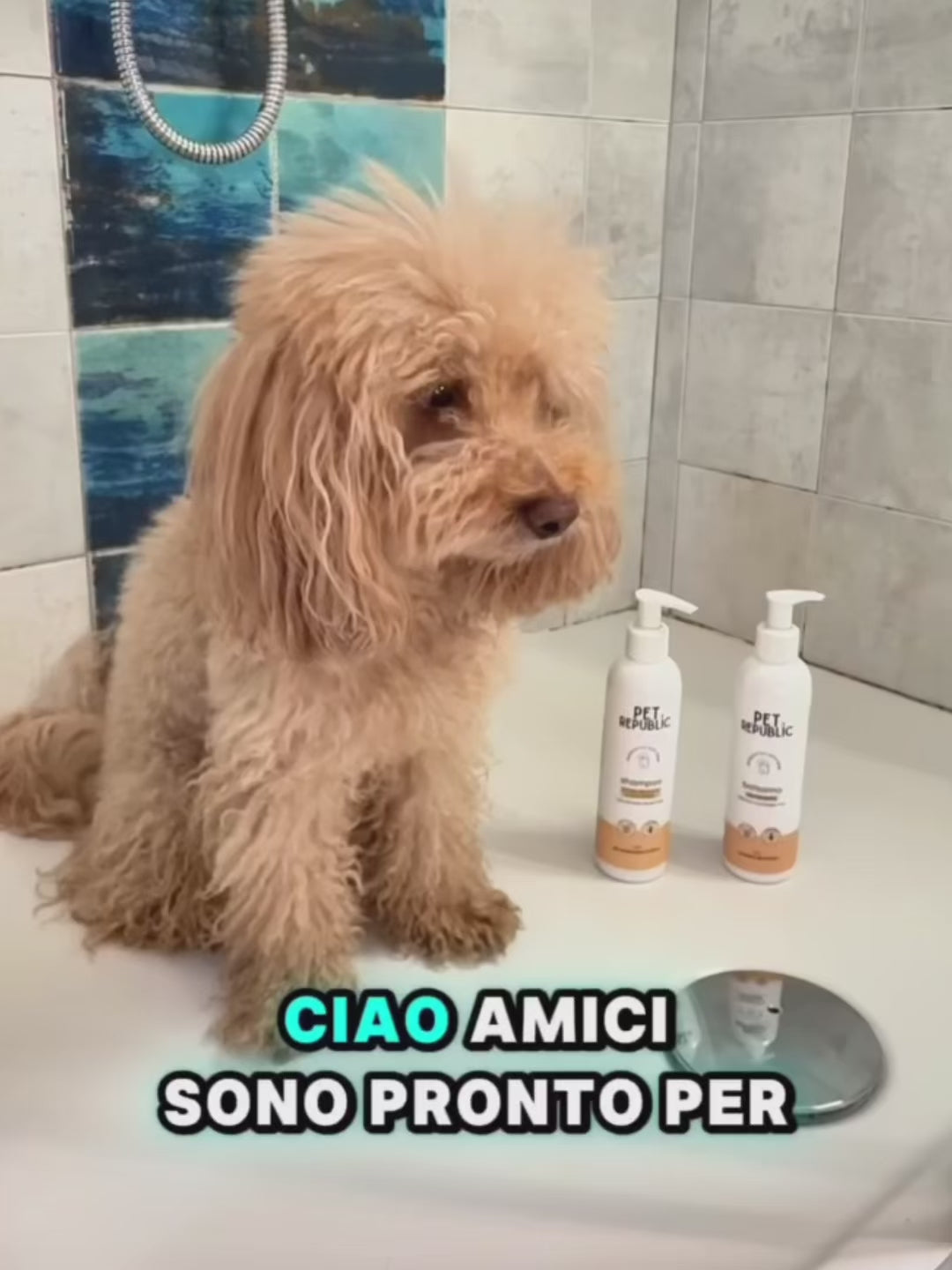 Carica video: Kit Bagnetto Barboncino – PeloRoutine Base