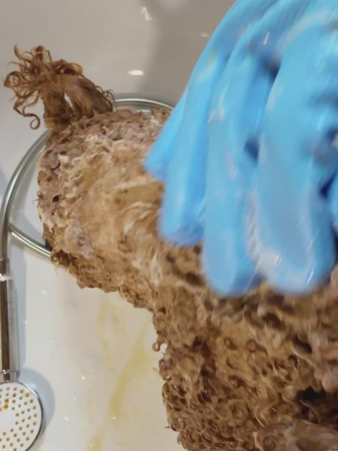 Carica video: 