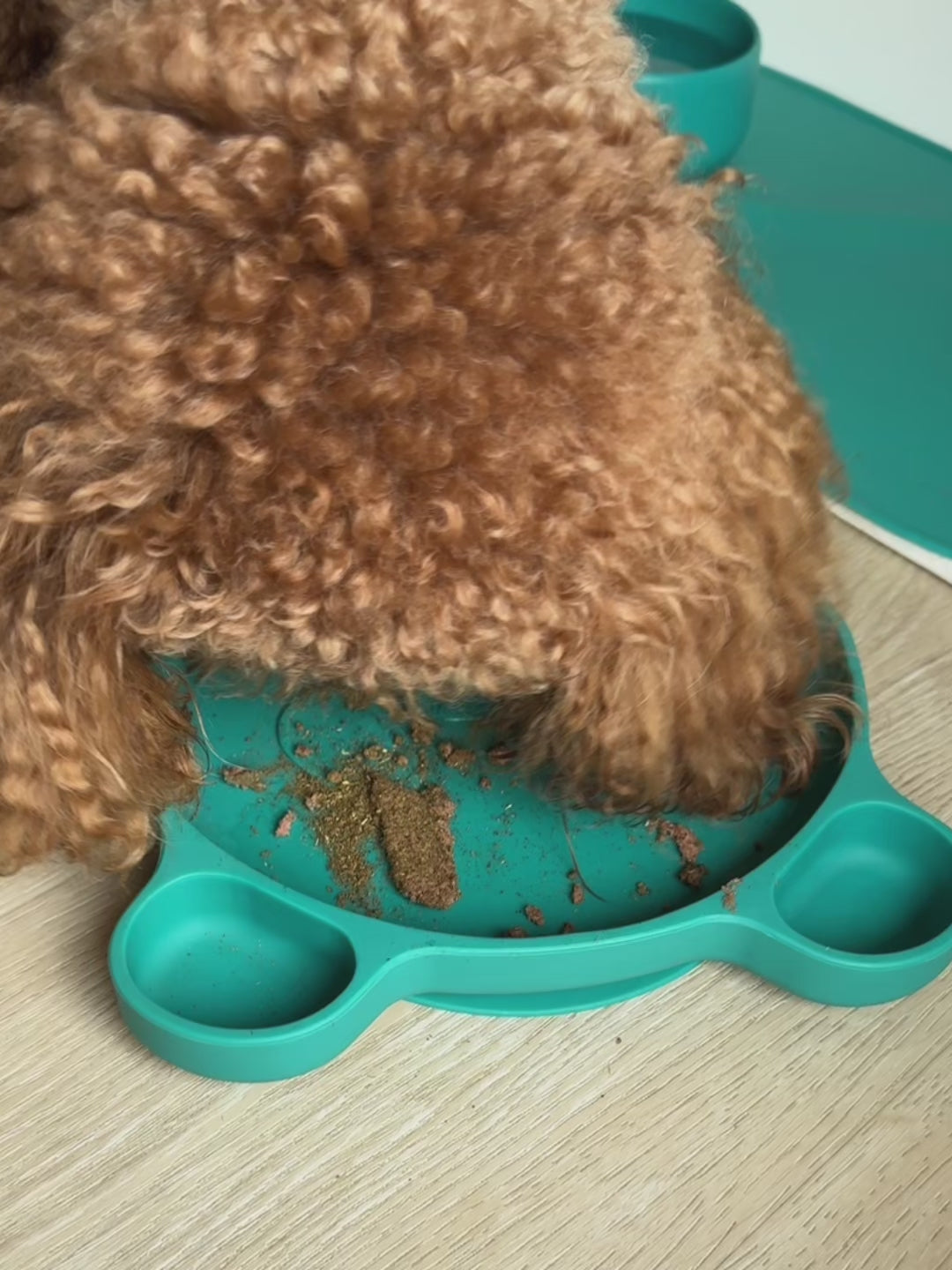Carica video: Happy Panda – Tris Pappa per Cani e Gatti