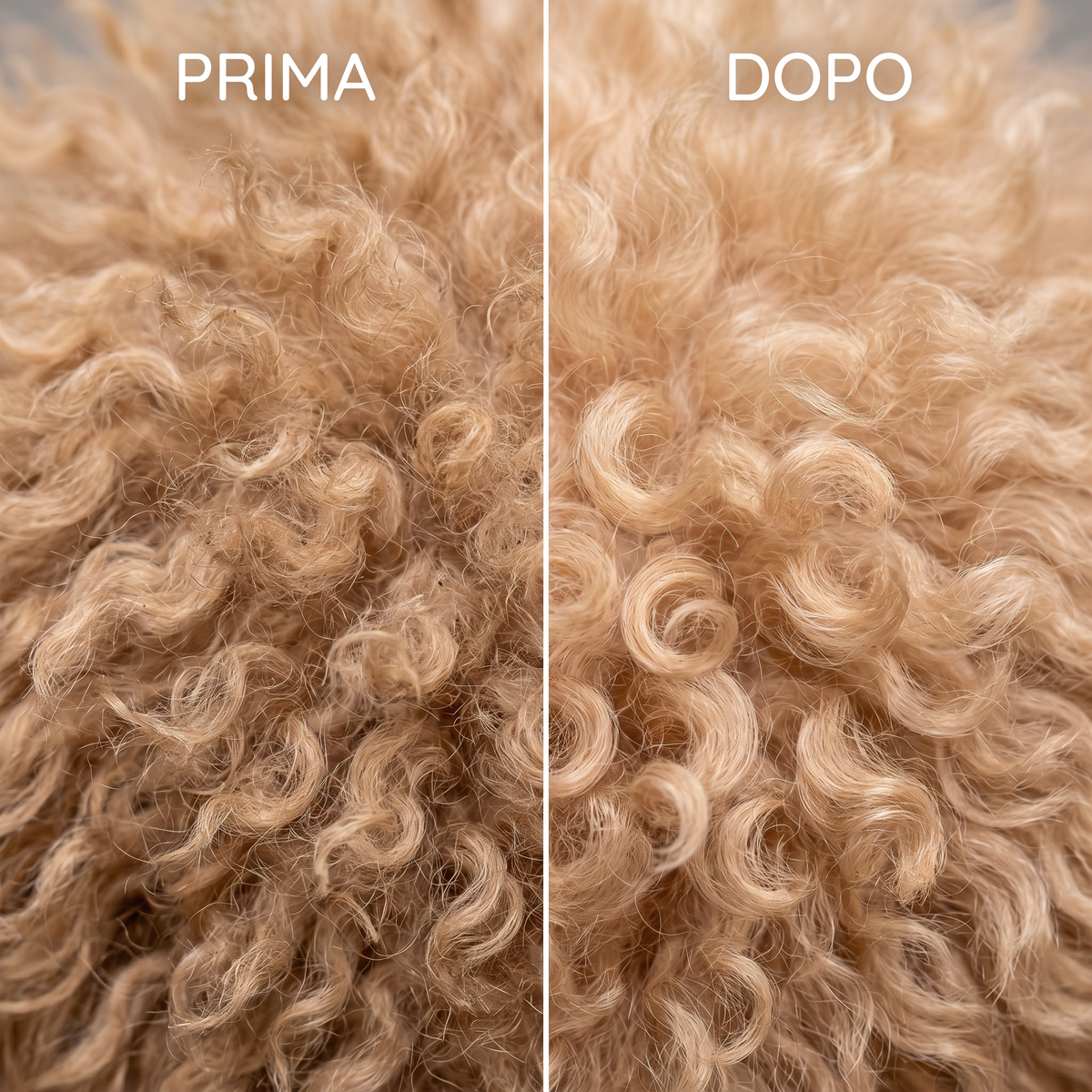 Linea igiene Pet Republic per Barboncino con shampoo e kit per la pulizia del pelo