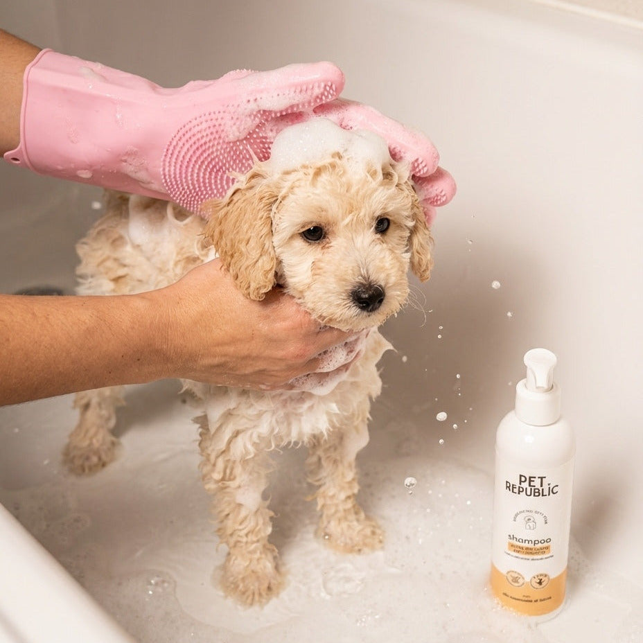 Come usare il kit igiene Bello Pulito Sempre per Barboncino Pet Republic sul cane
